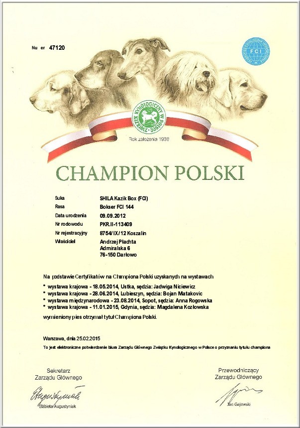 INFINITY - Champion Polski